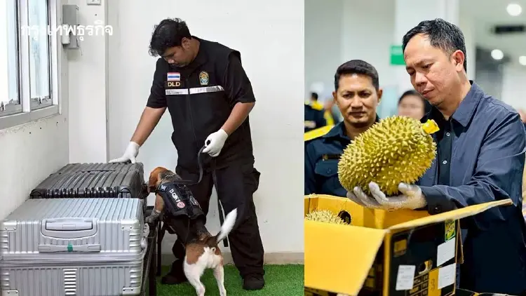 เกษตรฯ ยกระดับด่านสุวรรณภูมิ ตรึงมาตรฐานส่งออกแสนล้าน
