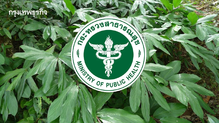 สธ.ดัน 'ว่านสาวหลง' อัปราคาขึ้น 20 เท่า จากหลัก 100  พุ่งสู่ 80,000 บาทต่อลิตร