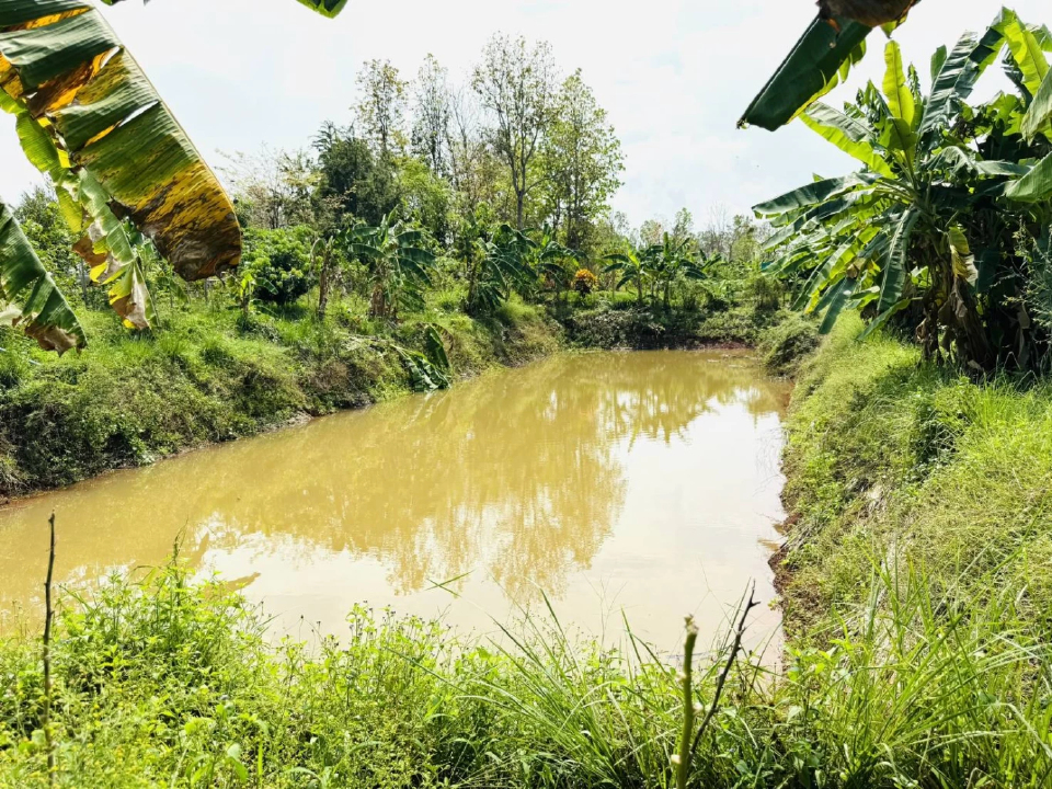 กระทรวงเกษตรฯ ลุยแอป Agri-Map พลิกที่ดินทำเงิน 1.18 ล้านไร่
