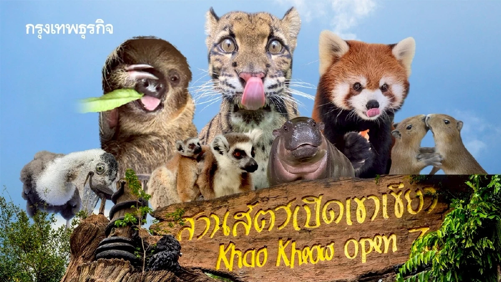 รวมดาว ‘ดาราหน้าใหม่’ สัตว์เพิ่งแจ้งเกิดจาก ‘สวนสัตว์เปิดเขาเขียว’