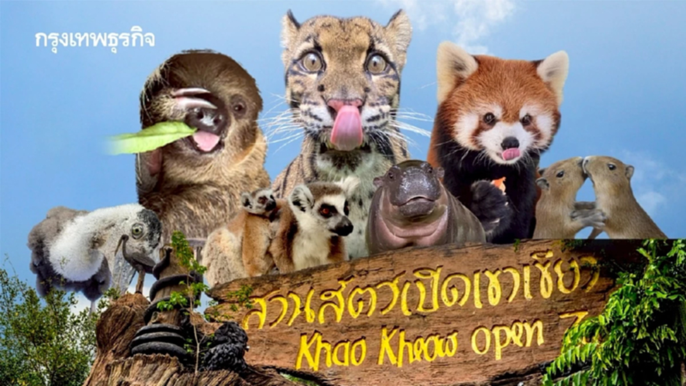 รวมดาว ‘ดาราหน้าใหม่’ สัตว์เพิ่งแจ้งเกิดจาก ‘สวนสัตว์เปิดเขาเขียว’