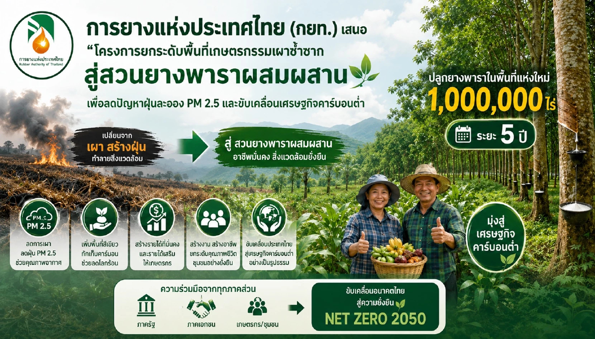 กยท.ชง 'โครงการปลูกยาง 1 ล้านไร่' เหนือ-อีสาน แก้เผาซ้ำซาก ลด PM 2.5 ขับเคลื่อน ศก.คาร์บอนต่ำ