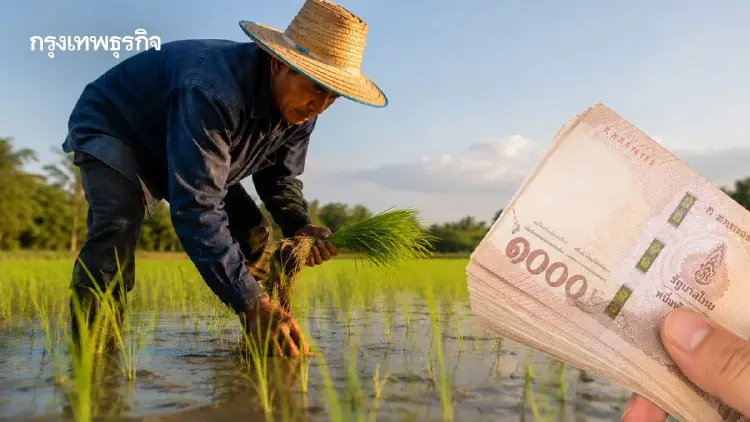 รีบเช็ก! วิธีขึ้นทะเบียนเกษตรกร 2569/70 รักษาสิทธิ์รับเงินเยียวยา