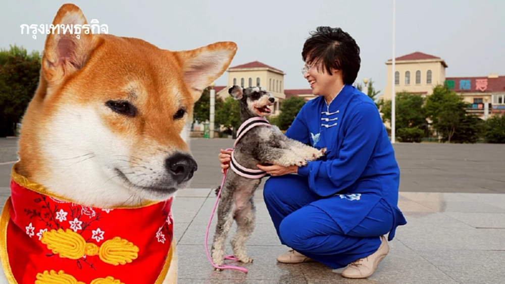 ทูตพาณิชย์ เซี่ยงไฮ้ ชี้ เศรษฐกิจสัตว์เลี้ยงจีนบูม รับเทรนด์ “Pet-Friendly”