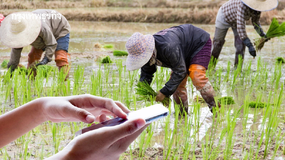 รับเงินช่วยเหลือชาวนา ชาวไร่ ขึ้นทะเบียนเกษตรกร 2569 ให้พร้อม