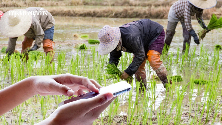 รับเงินช่วยเหลือชาวนา ชาวไร่ ขึ้นทะเบียนเกษตรกร 2569 ให้พร้อม
