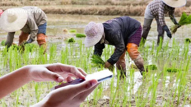 รับเงินช่วยเหลือชาวนา ชาวไร่ ขึ้นทะเบียนเกษตรกร 2569 ให้พร้อม