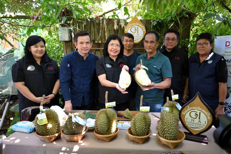 “ทุเรียนนนท์”ใช้ GI SMARTTRACE การันตีแหล่งผลิต-คุณภาพ สร้างความเชื่อมั่นผู้บริโภค