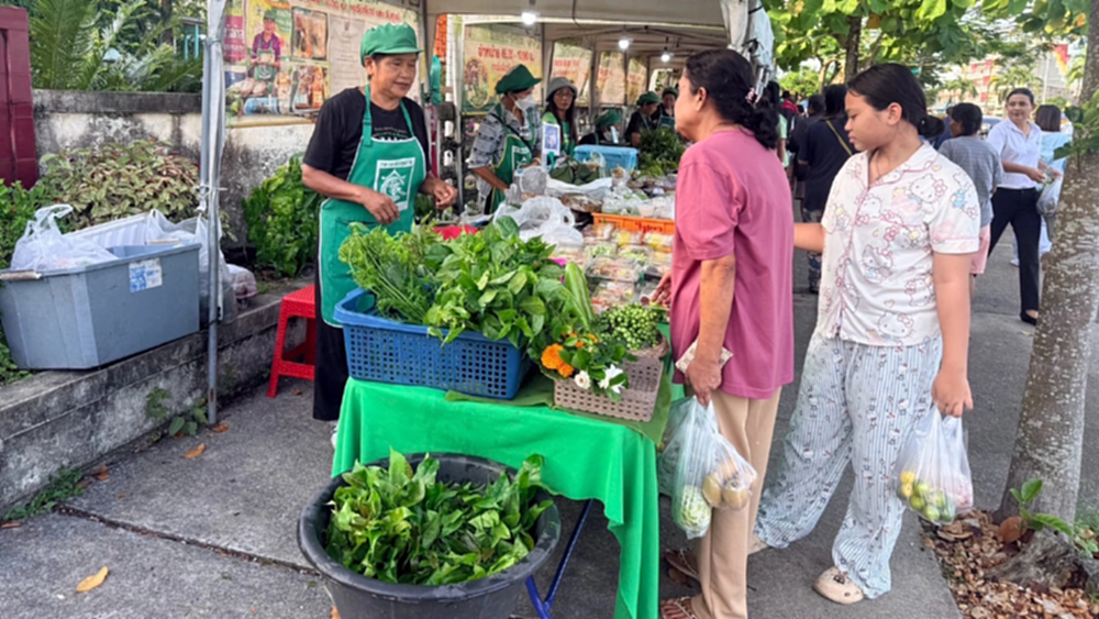 'นาท่อมโมเดล'สร้างเศรษฐกิจชุมชนยั่งยืนด้วยพลังคนและธรรมชาติ