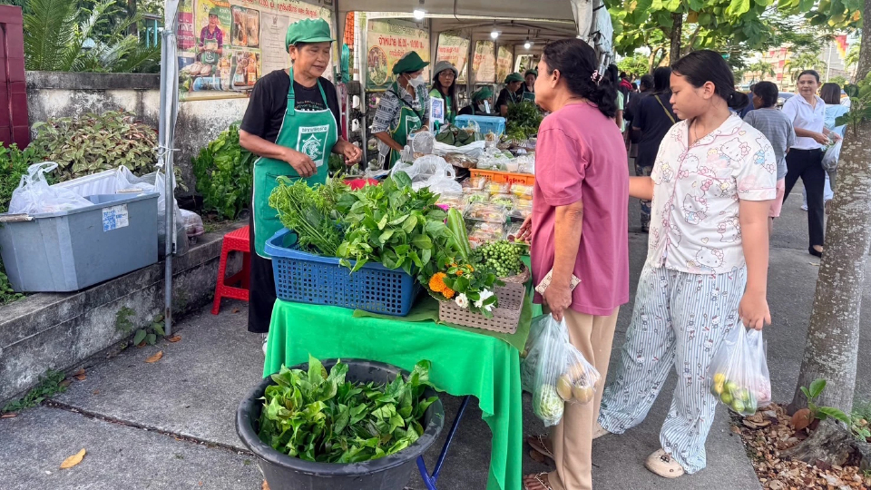 'นาท่อมโมเดล'สร้างเศรษฐกิจชุมชนยั่งยืนด้วยพลังคนและธรรมชาติ