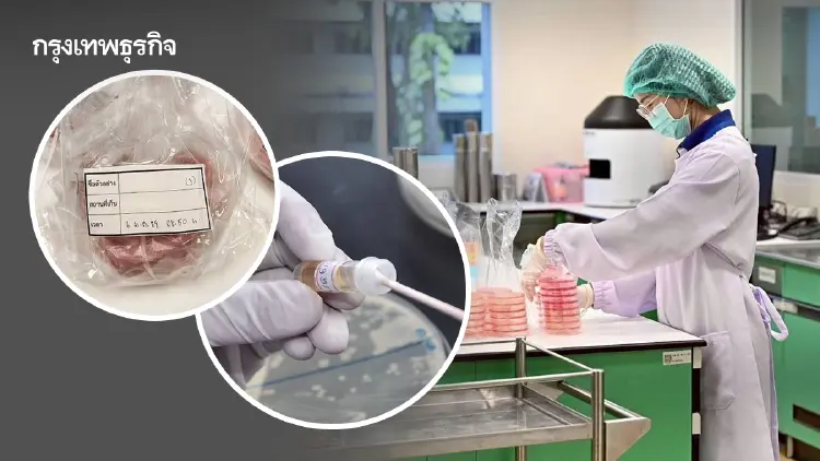 กรมวิทย์สุ่มตรวจ ‘หมูดิบ’ ตลาดในอุบล พบปนเปื้อน ‘เชื้อทำหูดับ’ ถึง 83%