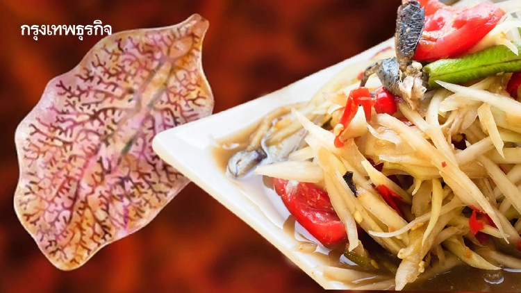 พยาธิใบไม้ตับ มหาสารคาม พุ่ง 33% สั่งคุมเข้มร้านส้มตำปลาร้าดิบ