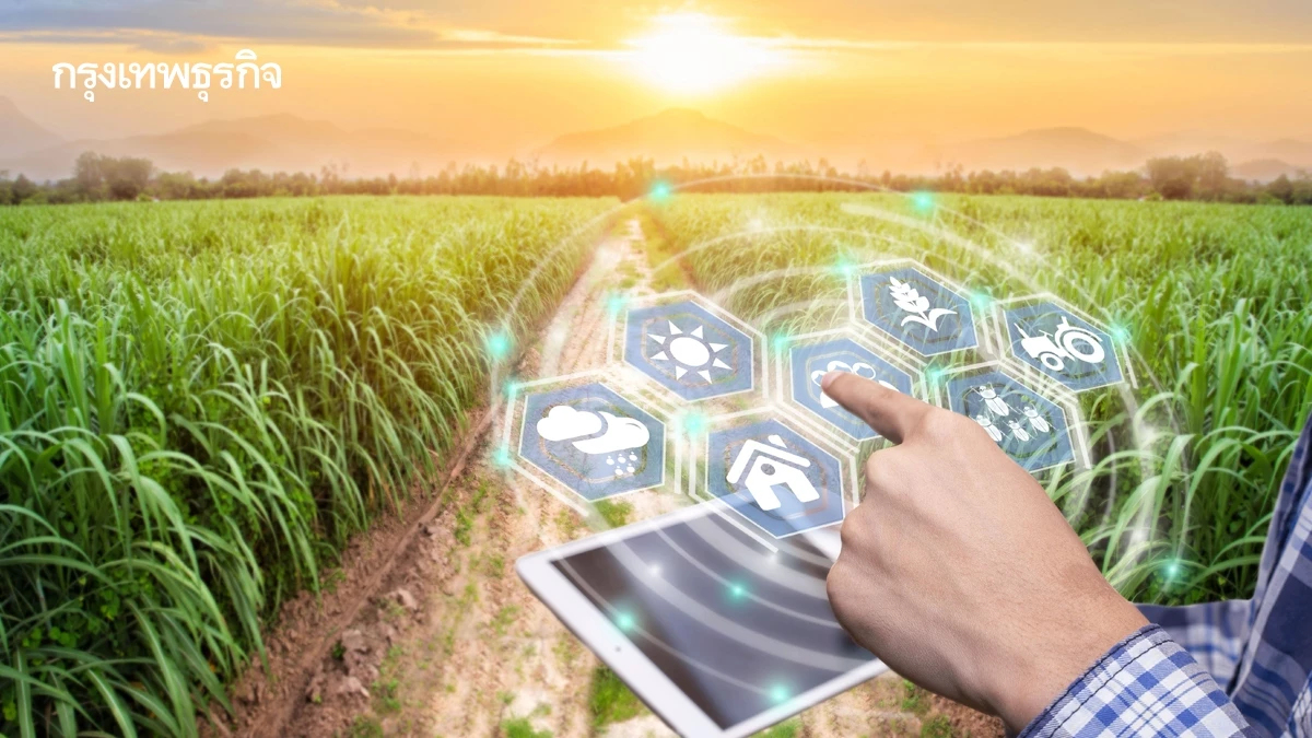 ไทยเชื่อมทะเบียนเกษตรกรกับแหล่งผลิต  รับกติกา‘EUDR’เสริมเชื่อมั่นตลาดยุโรป