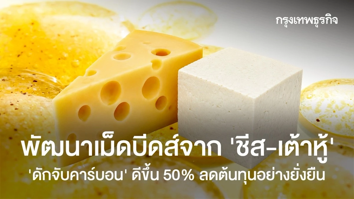Developing Carbon-Capture Cheddar Cheese Alternatives Boosts Sustainability by 50%