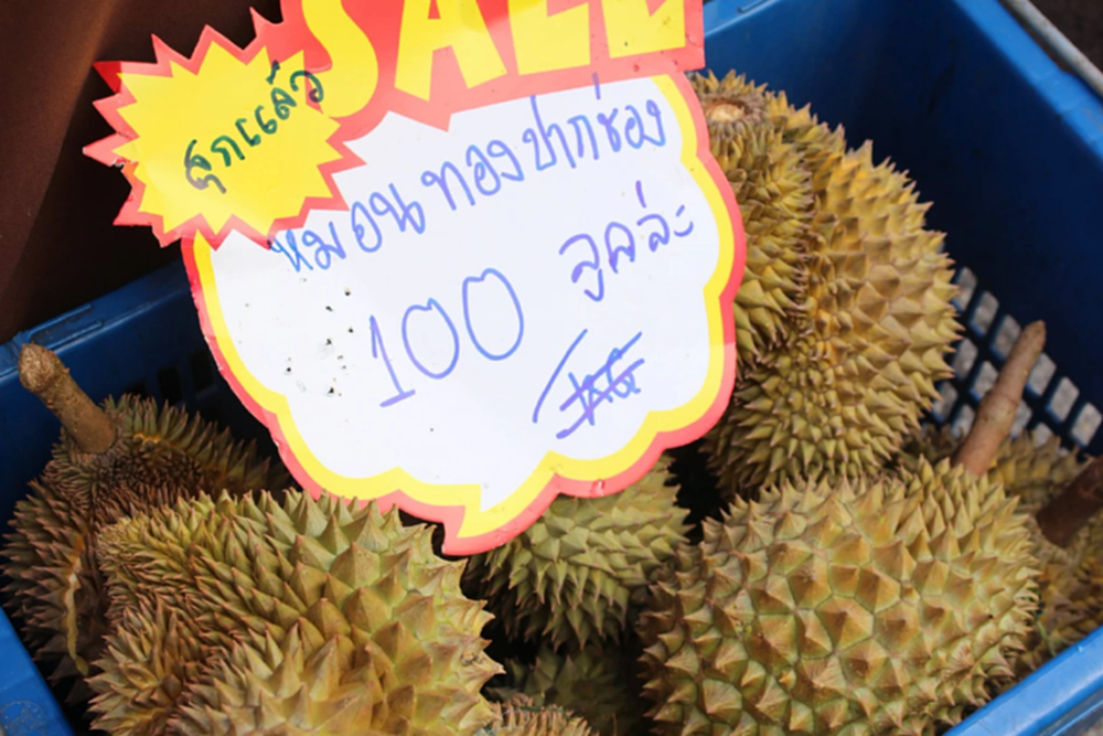 เยียวยาลดค่าครองชีพ โคราชเริ่มแล้วธงฟ้าช่วยลดภาระประชาชน