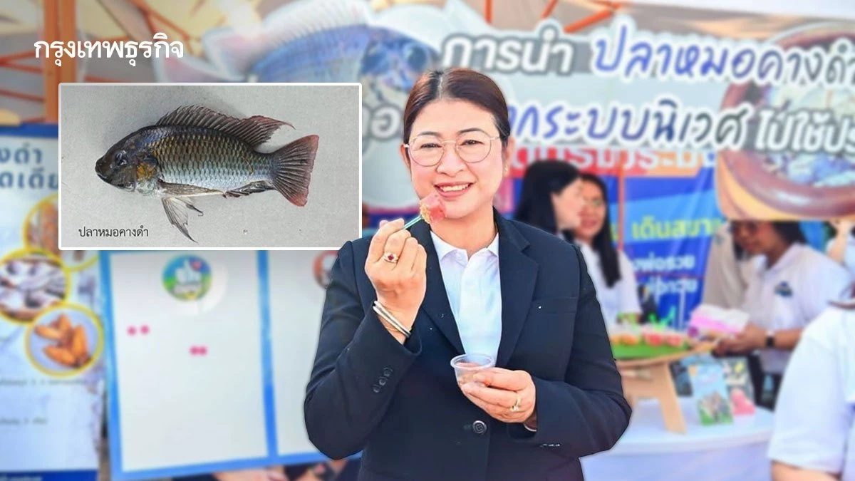 สยบดราม่าปลากระป๋อง ประมงงัดหลักวิทย์แจง ยันไร้หมอคางดำ
