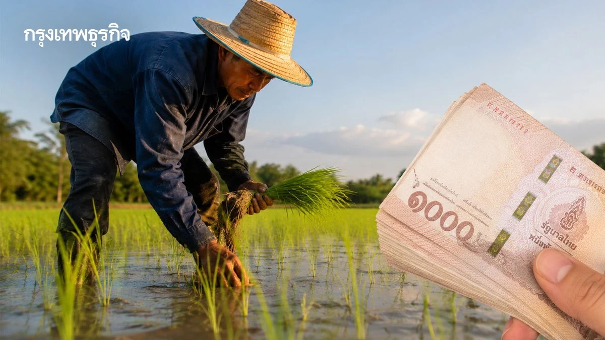 ขึ้นทะเบียนเกษตรกร 69/70 รับไร่ละ 1,000 ล่าสุด เงินถึงมือชาวนา 4.5 ล้านครัวเรือน