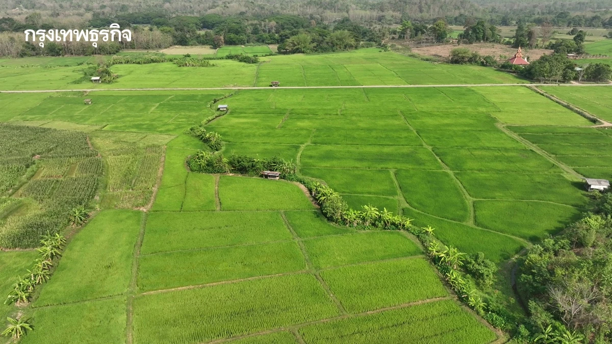 ชลประทานงัดสูตร 'กัก-หน่วง-ระบาย' สู้เอลนีโญลากยาวปี 70