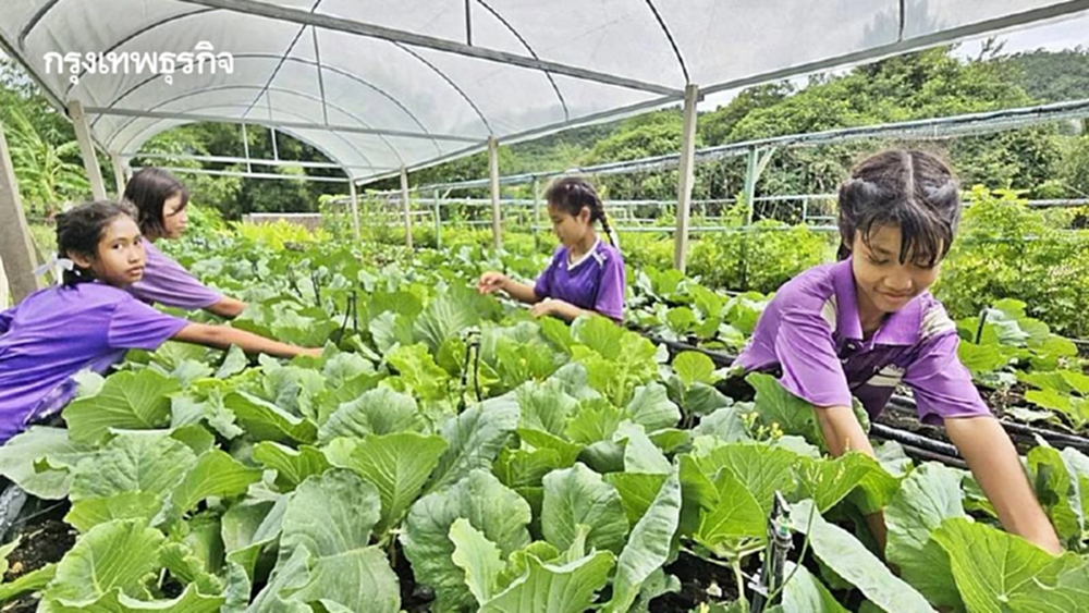 ถอดรหัส รร.ตชด.บ้านถ้ำหิน ชูกองทุนแกร่ง สร้างอาหารยั่งยืน