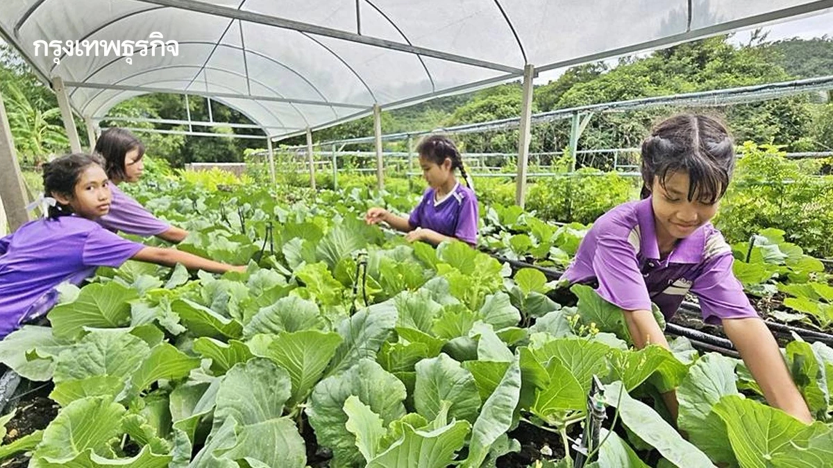 ถอดรหัส รร.ตชด.บ้านถ้ำหิน ชูกองทุนแกร่ง สร้างอาหารยั่งยืน