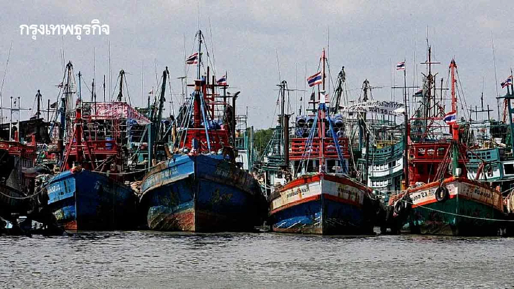 ครม.เคาะแผนบริหารประมงเพื่อชาติ 4 ข้อ  เพิ่มปริมาณสัตว์น้ำ-รายได้-ถูกกฎหมาย100%