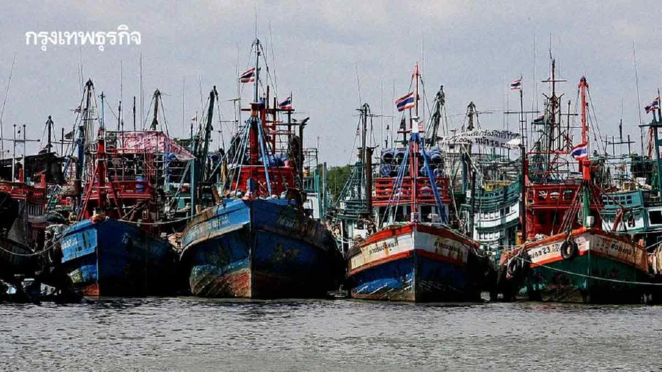 ครม.เคาะแผนบริหารประมงเพื่อชาติ 4 ข้อ เพิ่มปริมาณสัตว์น้ำ-รายได้-ถูกกฎหมาย100%