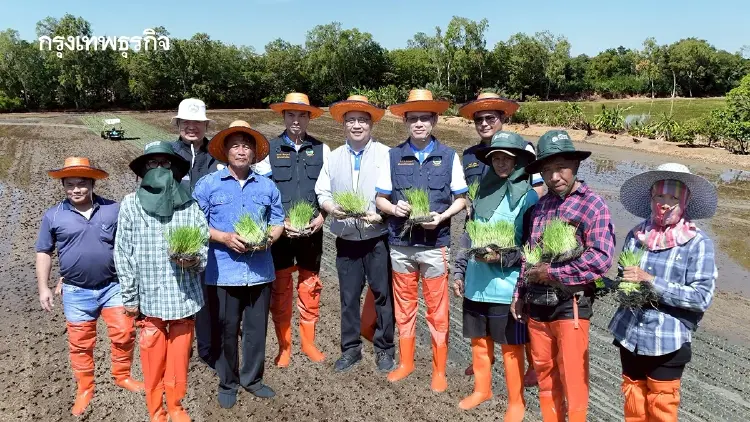 ชลประทาน ปฏิวัติผืนนาไทย ดันเปียกสลับแห้ง ปั้นศูนย์กลางข้าวโลว์คาร์บอนพรีเมียมโลก