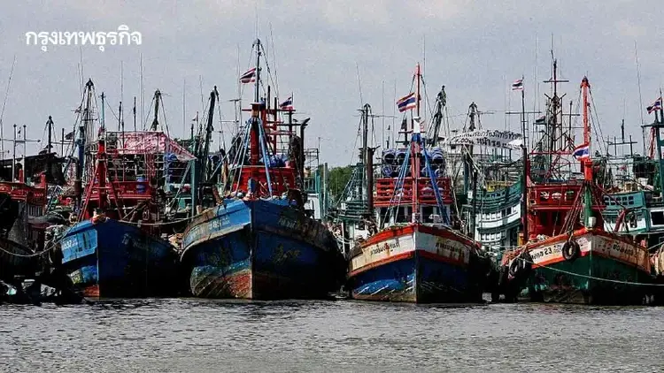 ครม.ไฟเขียว เว้นภาษีชดเชย 'เลิกทำประมง' ซื้อคืนเรือ 923 ลำ เฉือนรายได้รัฐ 167 ล้าน
