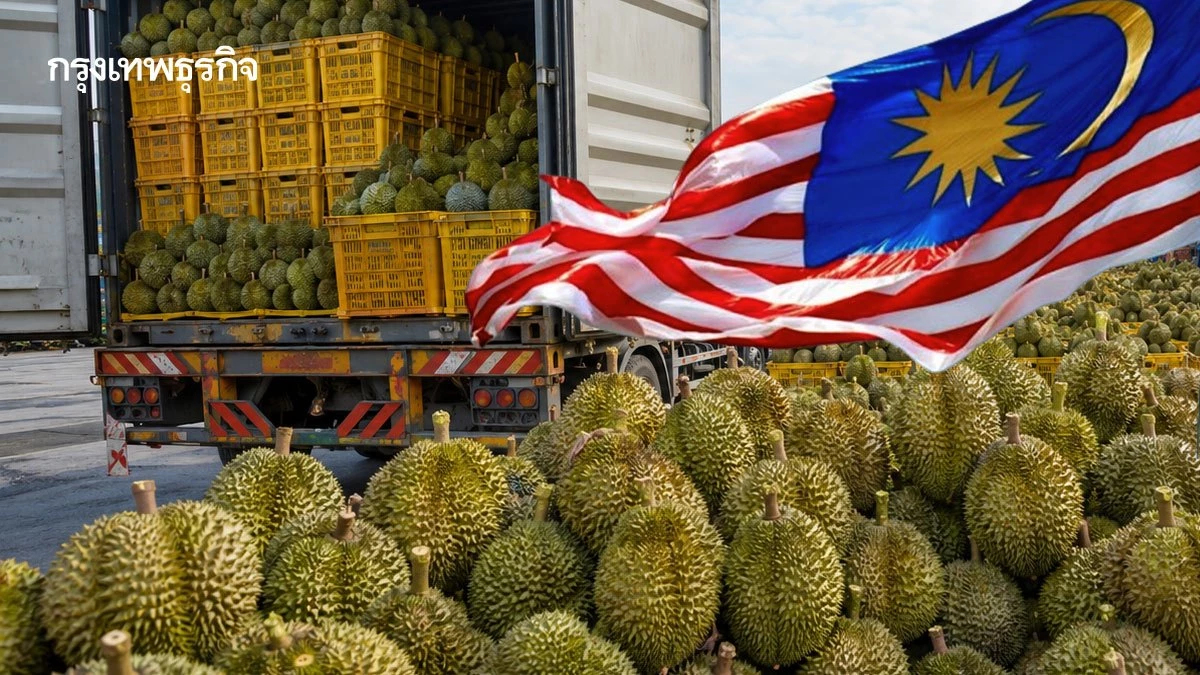 ส่องปรากฏการณ์ 'สึนามิทุเรียน' ล้นตลาด พังราคาร่วง 50% ถึงขั้นแจกฟรี