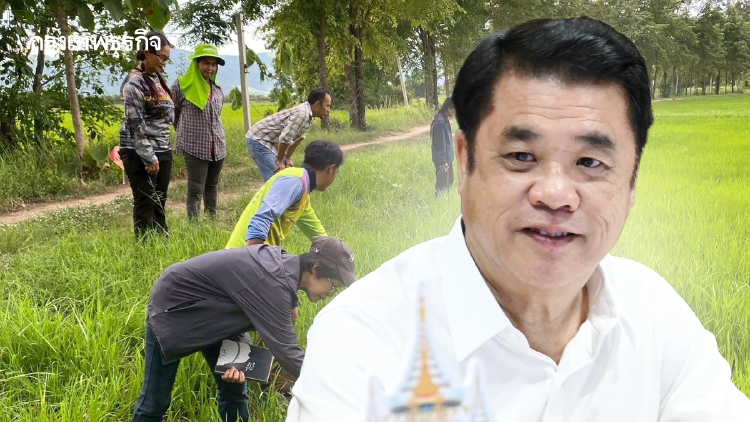 ไร่ละพันตอบโจทย์ ชาวนาปลูกข้าวต้นทุนลด แถมปั๊มผลผลิตพุ่งกระฉูด 16%