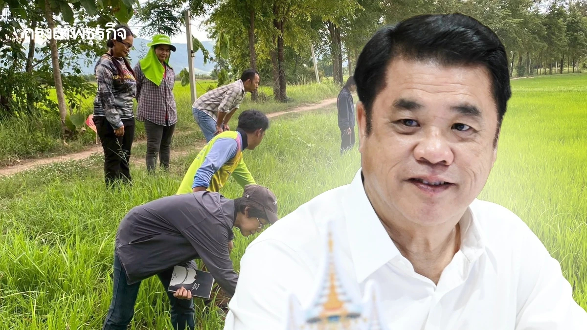 ไร่ละพันตอบโจทย์ ชาวนาปลูกข้าวต้นทุนลด แถมปั๊มผลผลิตพุ่งกระฉูด 16%