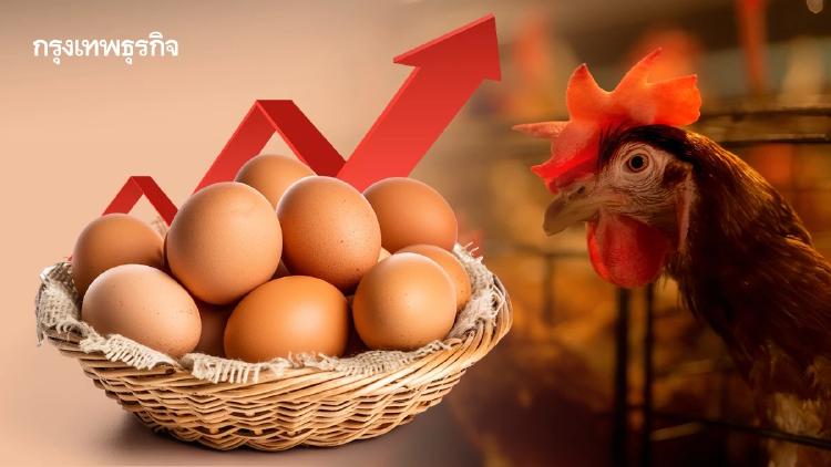 'ราคาไข่ไก่' ปรับขึ้น 20 สตางค์ พาณิชย์ยันสินค้ามีพอ ไม่ขาดแคลน