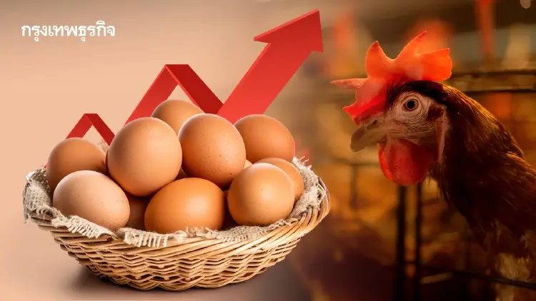 'ราคาไข่ไก่' ปรับขึ้น 20 สตางค์ พาณิชย์ยันสินค้ามีพอ ไม่ขาดแคลน