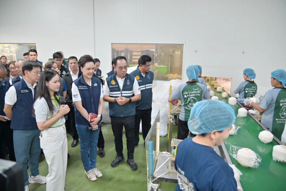 พาณิชย์ ชู “ล้งชุมชนมะพร้าวน้ำหอม” ต้นแบบ ยกระดับระบบมะพร้าวไทย