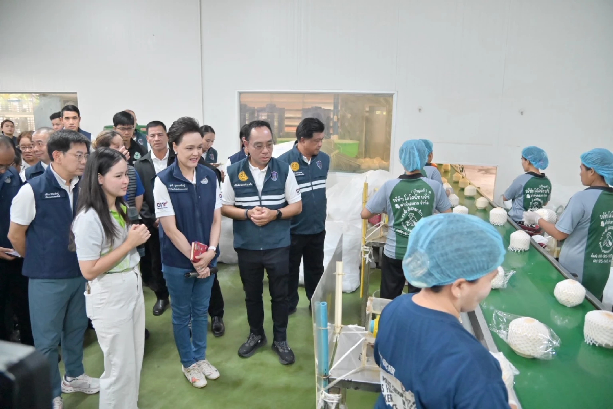พาณิชย์ ชู “ล้งชุมชนมะพร้าวน้ำหอม” ต้นแบบ ยกระดับระบบมะพร้าวไทย