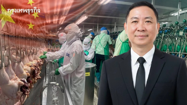 จีนยื่นเปิดตลาดเครื่องในไก่ ปศุสัตว์ยันต้องได้มาตรฐานตลอดห่วงโซ่