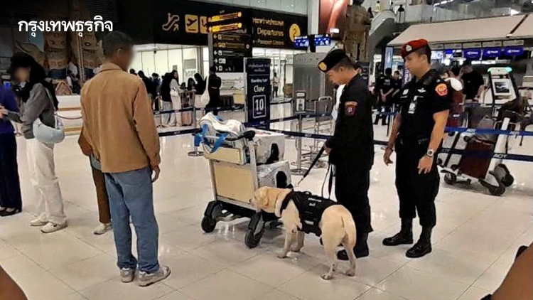 ตรวจเข้มสุวรรณภูมิ! ส่งสุนัขตำรวจ K9 ลุยตรวจค้นสัมภาระ ตัดวงจรยาข้ามชาติ