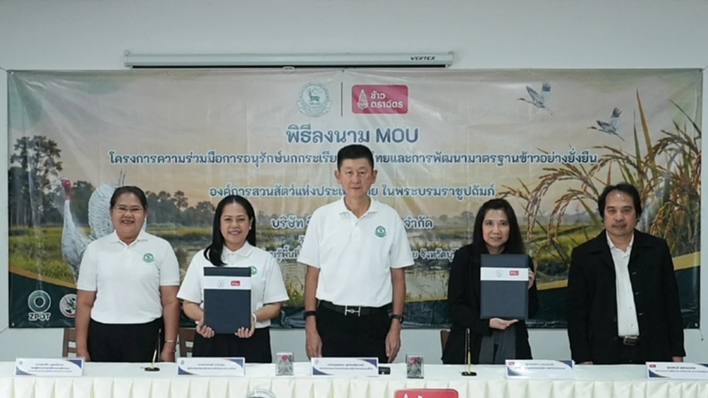 ข้าวตราฉัตร - องค์การสวนสัตว์ฯ อนุรักษ์ 'นกกระเรียนพันธุ์ไทย' ต่อยอดมาตรฐานข้าวยั่งยืนระดับโลก