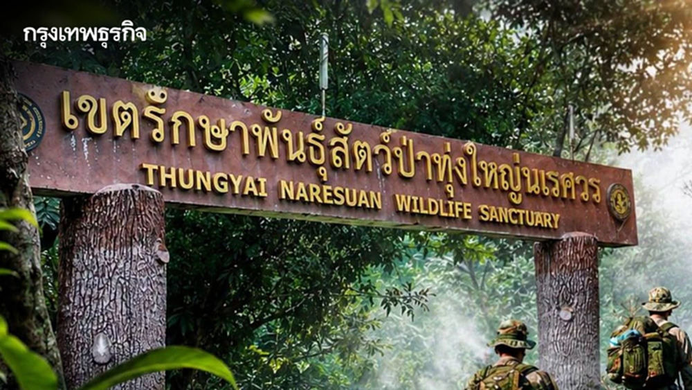 ขสป.ทุ่งใหญ่นเรศวรด้านตะวันตก โต้ข่าวปลอม ยันไม่พบ ​'ทุนจีน' ตั้งโรงงานไม้กลางป่า