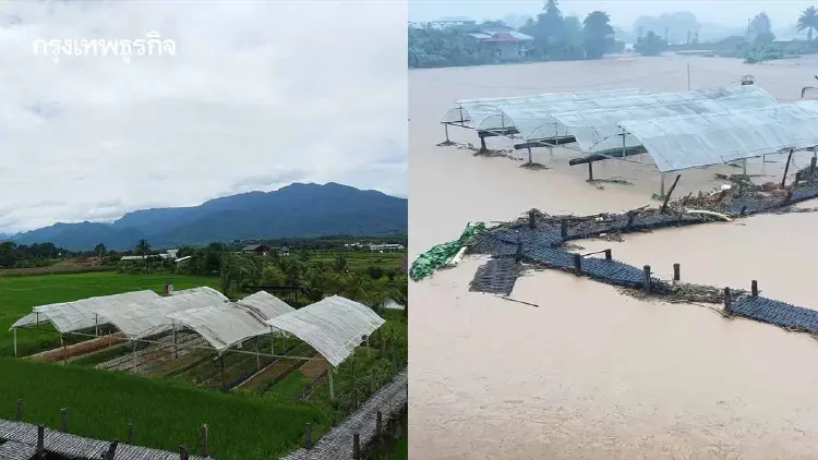 เทียบชัด น้ำท่วมน่านล่าสุด ทุ่งนา-คาเฟ่ดัง หลังวัดศรีมงคล เสียหายหนัก