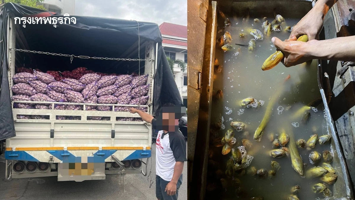 ศพร. ลุยจับสินค้าเกษตร รวบปลาไหลนา 1.1 ตัน-กระเทียมเถื่อน 9.5 ตัน