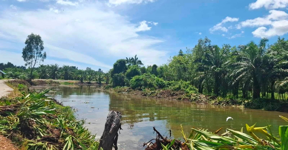 กรมชลประทาน เร่งฟื้นฟูระบบระบายน้ำ 3 จังหวัดชายแดนใต้ รับฝนหนัก