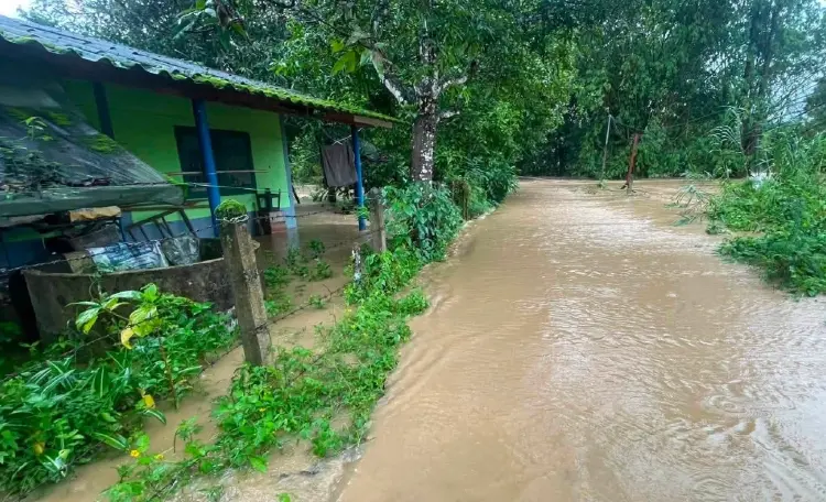เปิด 5 พื้นที่เสี่ยง ทองผาภูมิ ฝนตกหนัก ปภ. เตือน น้ำป่า-ดินถล่ม