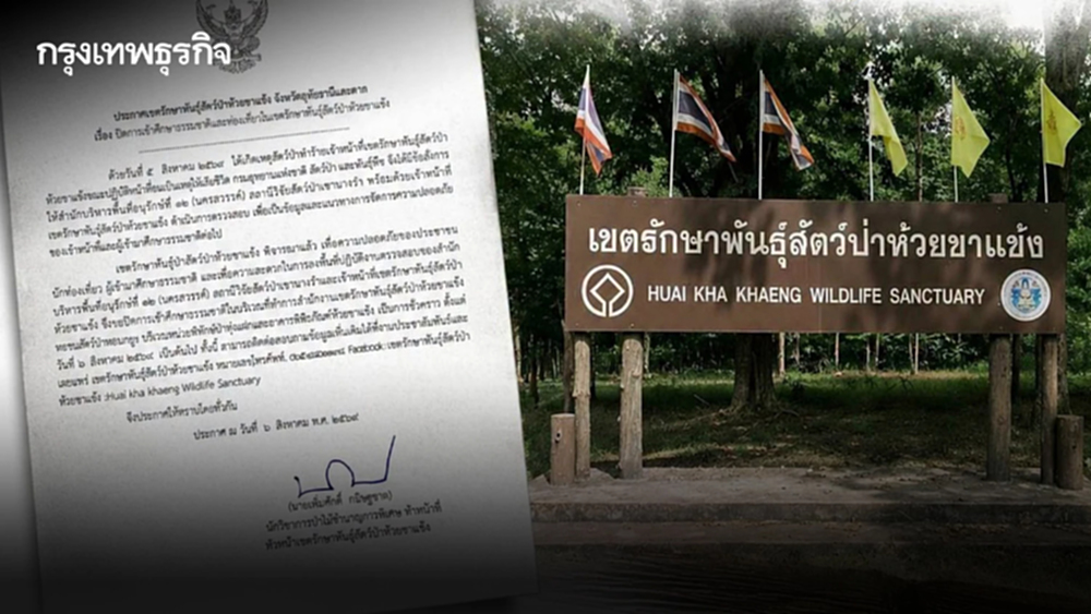 ขสป.ห้วยขาแข้ง ปิดท่องเที่ยวชั่วคราว หลังเสือโคร่งทำร้ายเจ้าหน้าที่ดับ