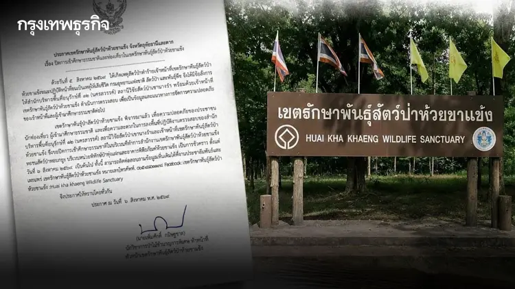 ขสป.ห้วยขาแข้ง ปิดท่องเที่ยวชั่วคราว หลังเสือโคร่งทำร้ายเจ้าหน้าที่ดับ