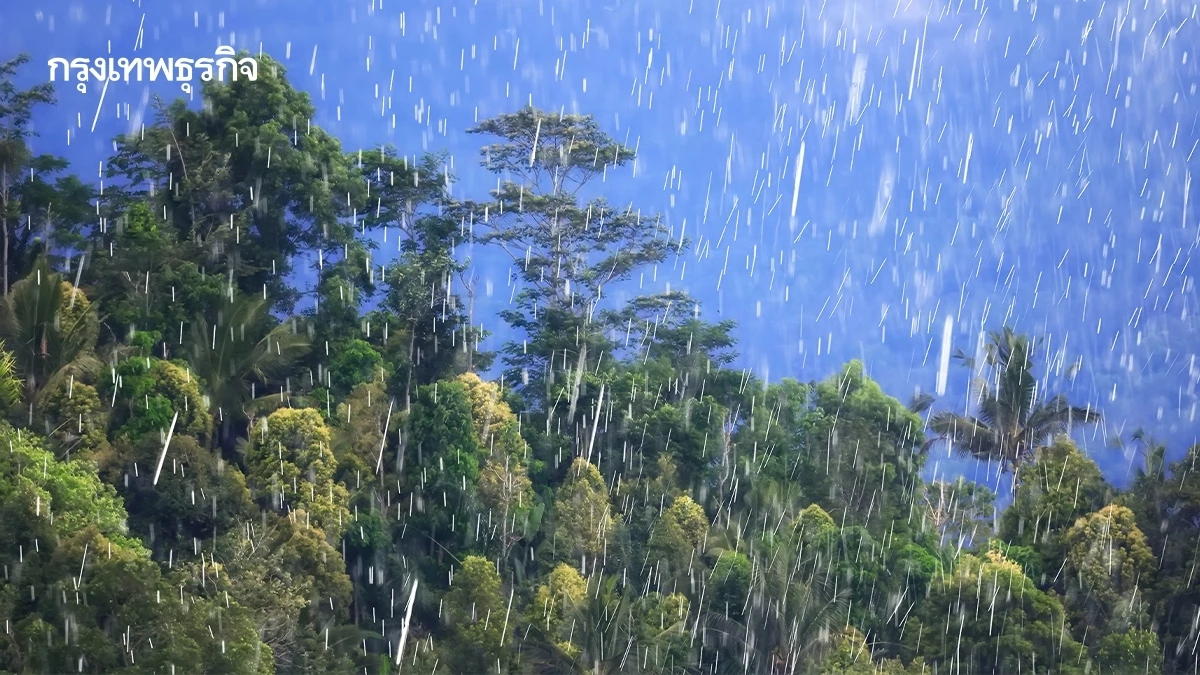 สภาพอากาศพรุ่งนี้ 25 จังหวัด รับมือฝนตกหนัก เสี่ยงน้ำท่วมฉับพลัน