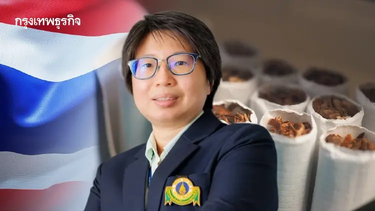 ผ่าช่องโหว่ ‘คุมบุหรี่’ ในไทย ทำไมยัง ‘รุกฆาต’ ไม่สำเร็จ 