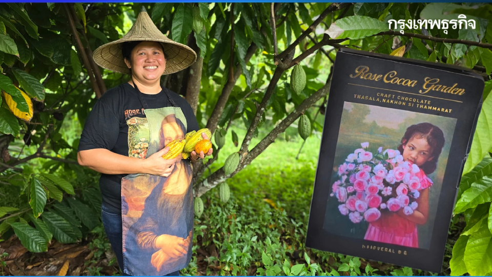 จากต้นโกโก้สู่ 'ช็อกโกแลตคราฟต์' ที่ Rose Cocoa Garden เมืองนครฯ