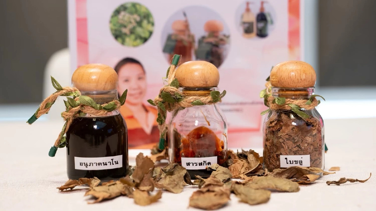 เปิด 3 นวัตกรรมสมุนไพรไทย สู่ตลาดมูลค่าสูง ตอบโจทย์ตลาดยุคใหม่