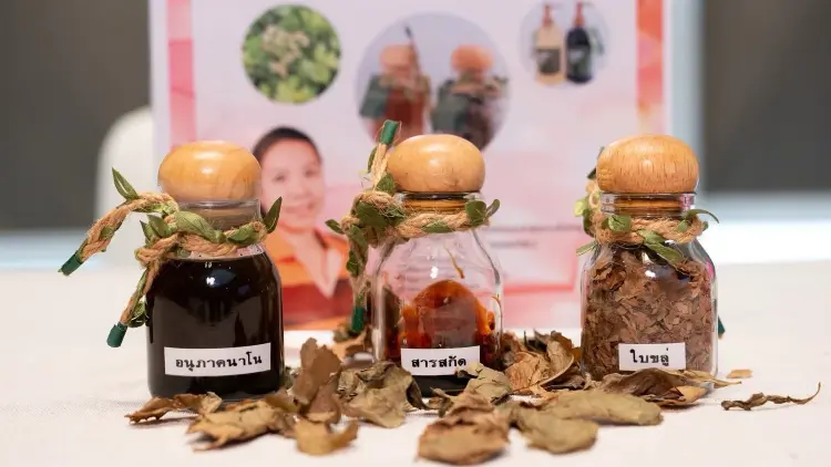 เปิด 3 นวัตกรรมสมุนไพรไทย สู่ตลาดมูลค่าสูง ตอบโจทย์ตลาดยุคใหม่